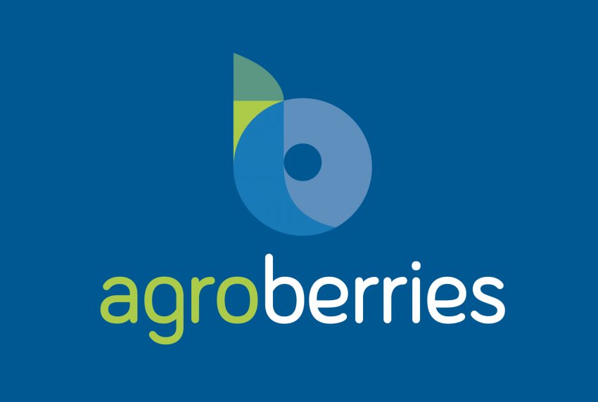 Agroberries ─ одна з постраждалих компаній під час пожежі