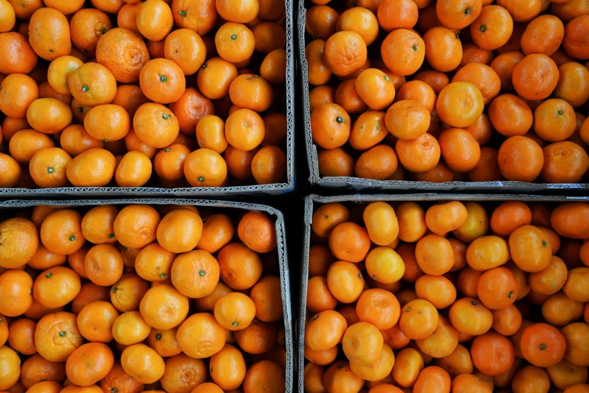 Мандарини стануть доступні приблизно на два тижні раніше Мандарини стануть доступні приблизно на два тижні раніше