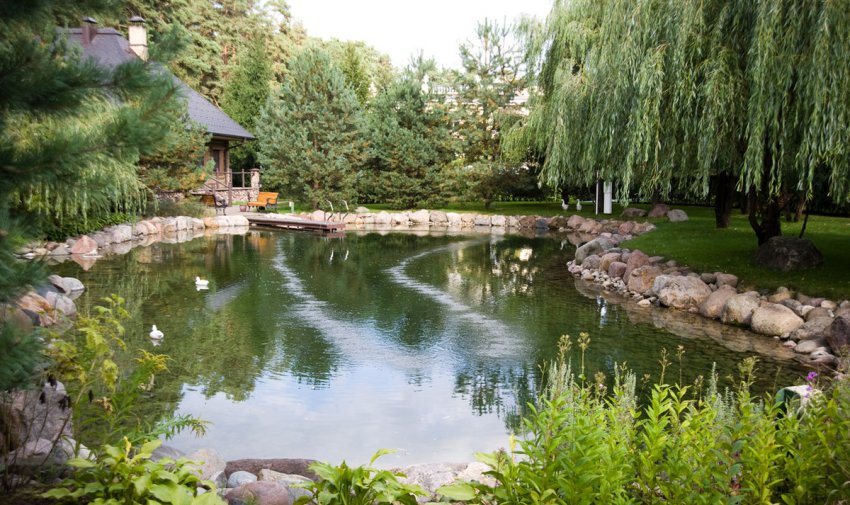 Природний берег