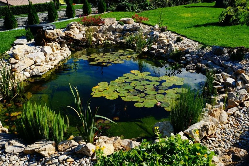 Сад всередині ставка