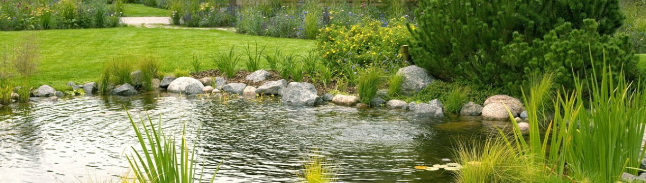 Три способи покращити свою ставку