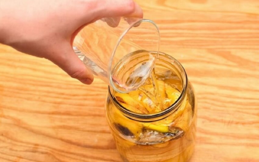 Приготовлення настою з цедри