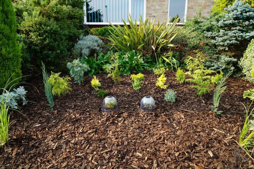 Декор ділянки Декор ділянки