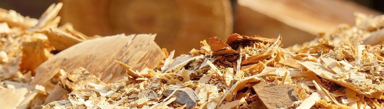 12 способів використання деревного опили на дачі