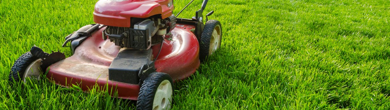 12 порад щодо ефективного стрижки газону