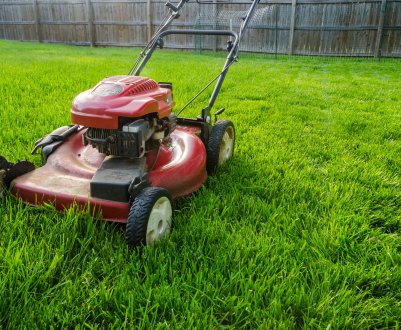 12 порад щодо ефективного стрижки газону