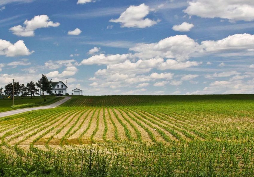 Час очікування отримання земельних наділів збільшився Час очікування отримання земельних наділів збільшився