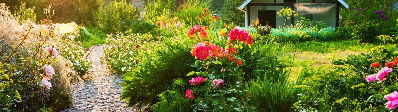 Спрос на садівництво через пандемію коронавірусу