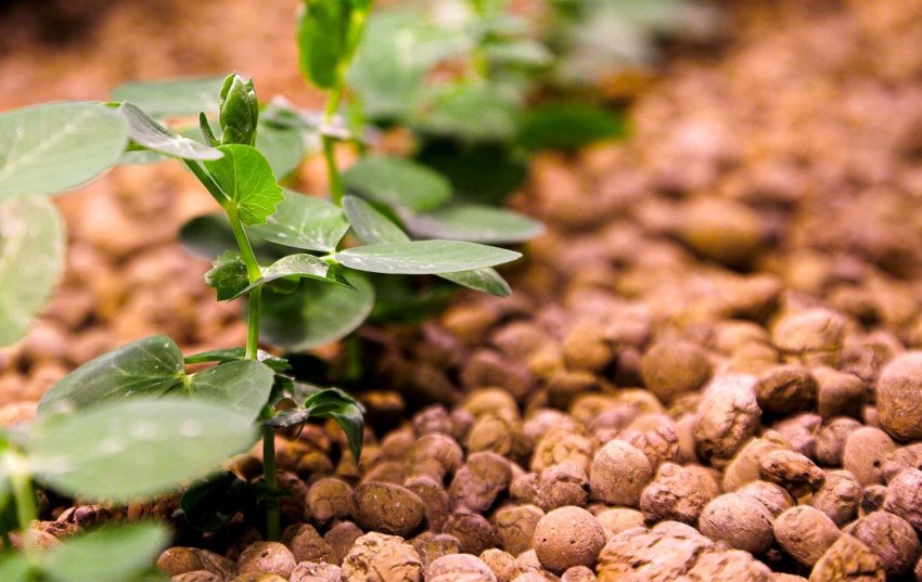 Керамзит Керамзит