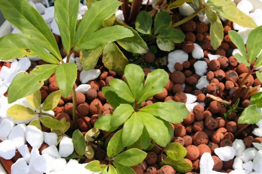 Керамзит Керамзит