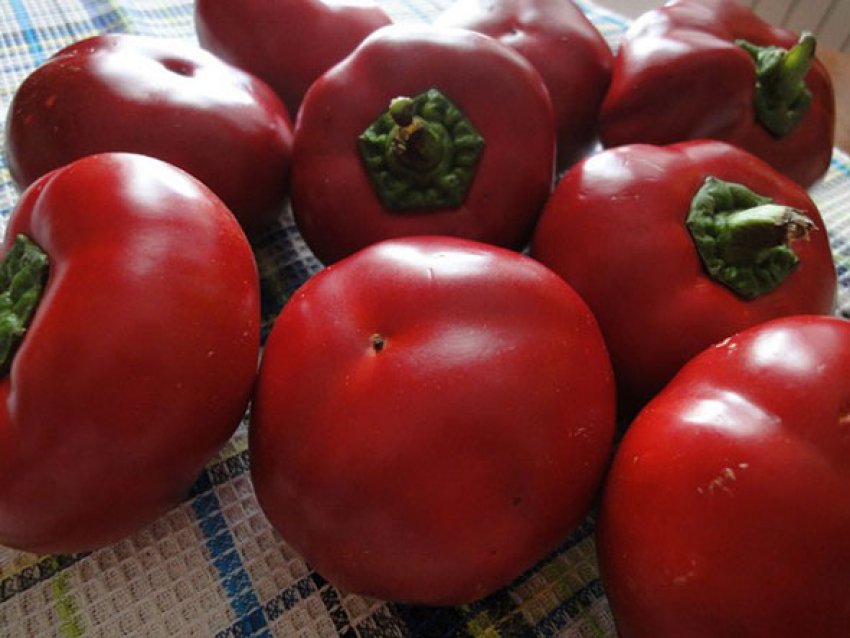 Колобок Колобок