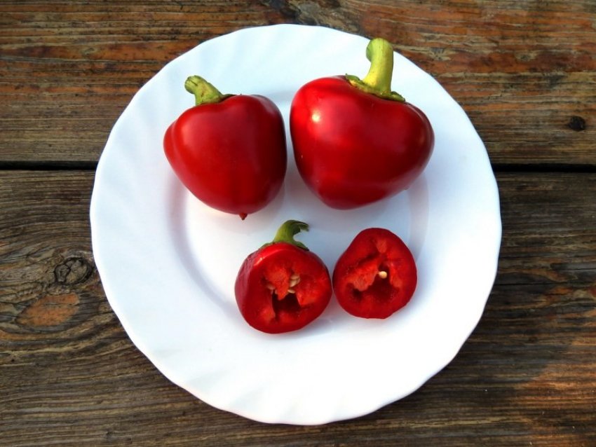 Колобок Колобок