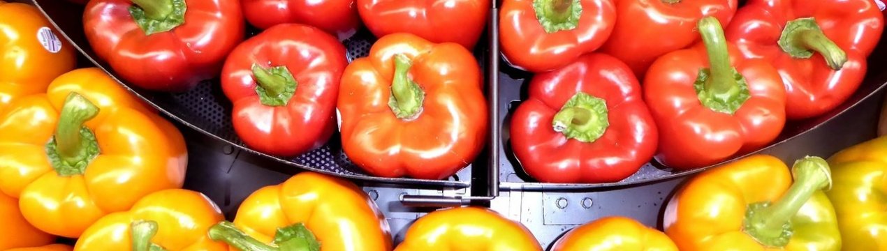 10 кращих сортів солодкого перцю для відкритого ґрунту