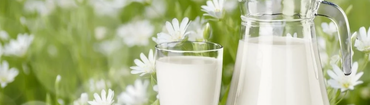 Бокал молока до Всесвітнього дня молокопродуктів