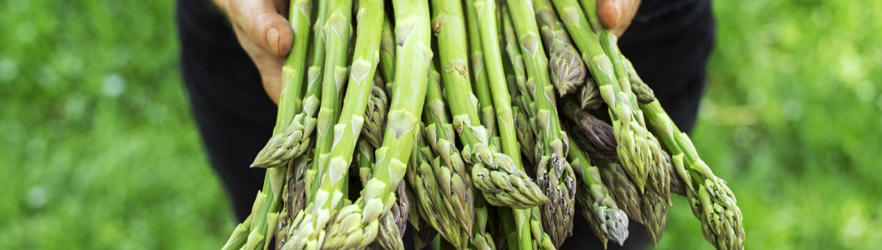 Украдені десятки кілограмів спаржі