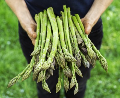 Украдені десятки кілограмів спаржі