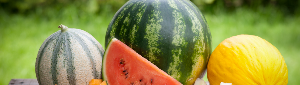 Виробники кавунів у Венгрії втратили врожай