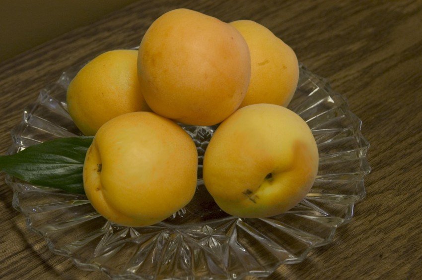 Золотий куля Золотий куля