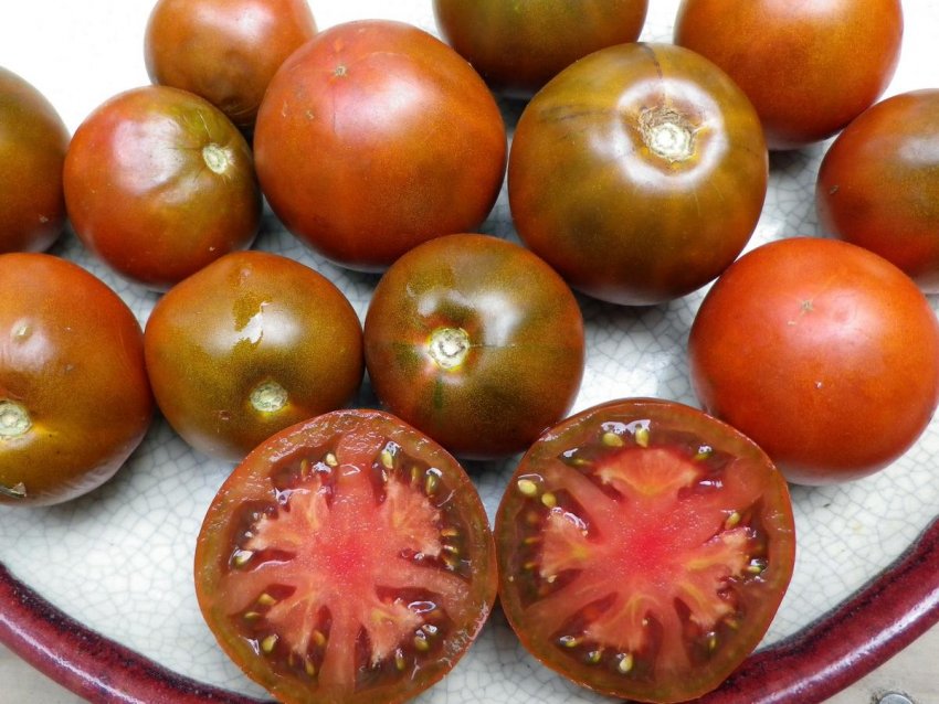 Помідор Чорний принц