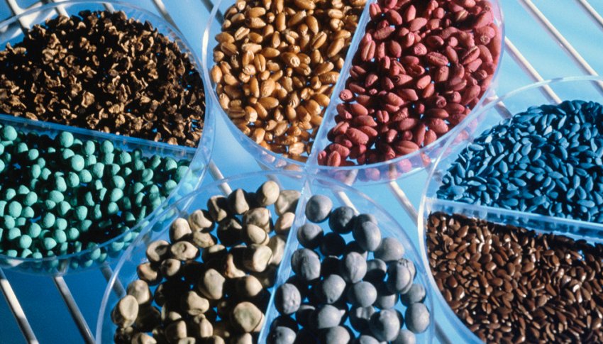 Інсектицид Bayer Vayego схвалений в Новій Зеландії