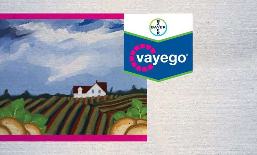 Інсектицид Bayer Vayego схвалений в Новій Зеландії