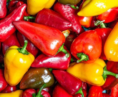 9 крупноплодних сортів солодкого перцю