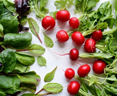 6 швидкостиглих сортів редиски