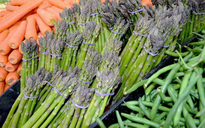 Продаж спаржі Продаж спаржі