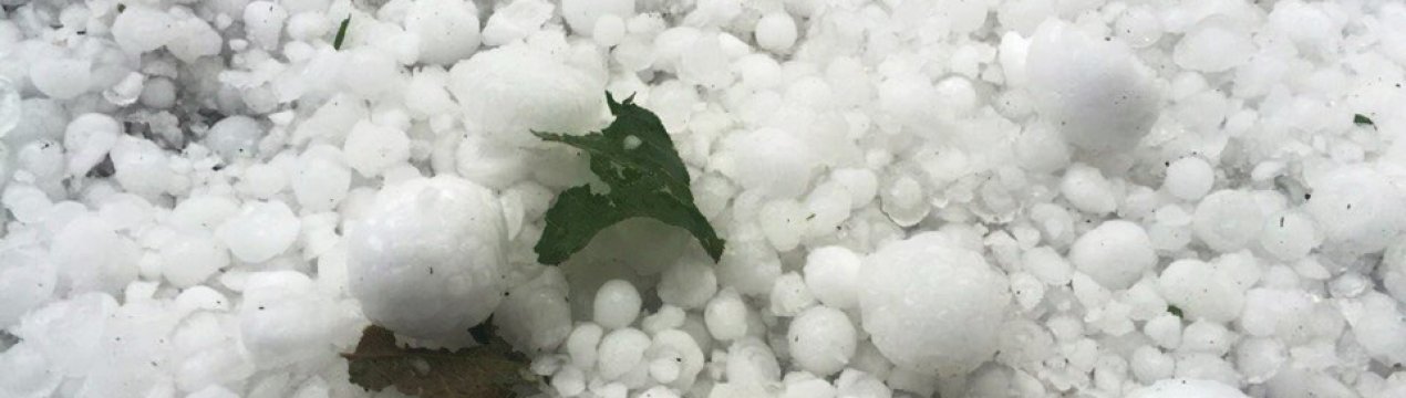 Індія: град завдає шкоду 20% врожаю в Кулгаме