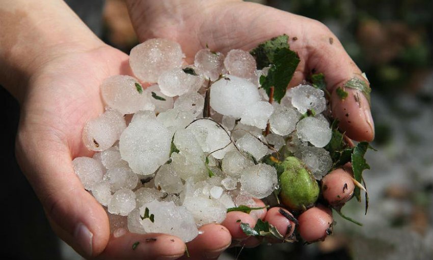 Індія: град завдає шкоди 20% урожаю в Кулгамі Індія: град завдає шкоди 20% урожаю в Кулгамі