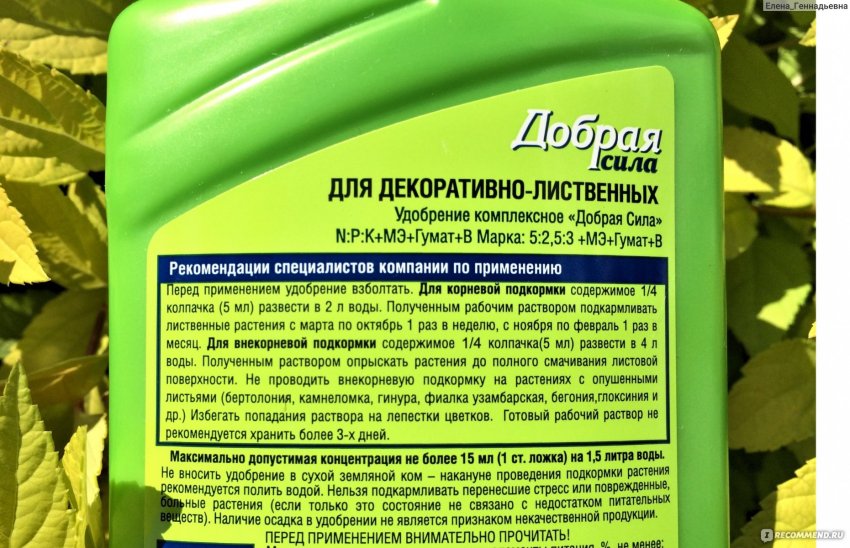 Підживлення для декоративно-листяних рослин