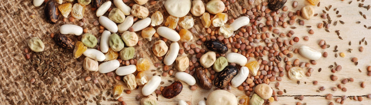 Перевіряємо кладовки: скільки років насіння овочів зберігає всякість?