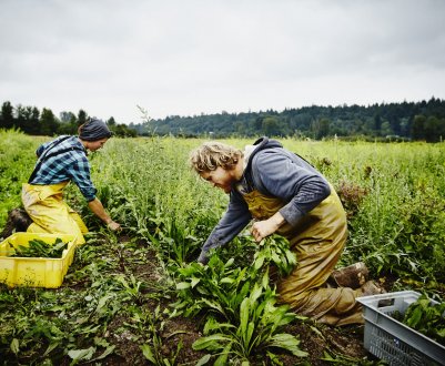 Сезонні працівники можуть легше потрапляти в Німеччину