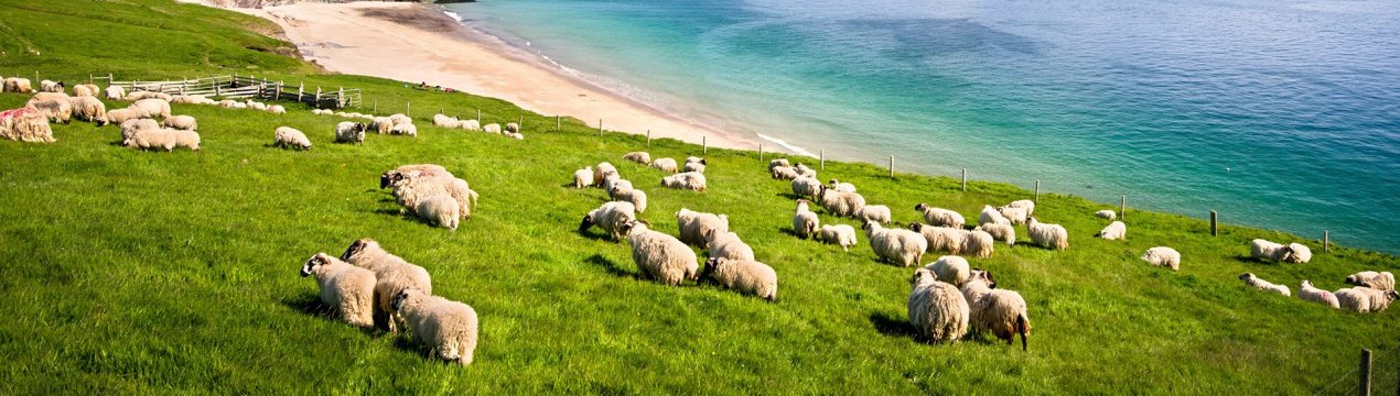 75% населення Північної Ірландії хочуть підтримки для зеленого сільського господарства