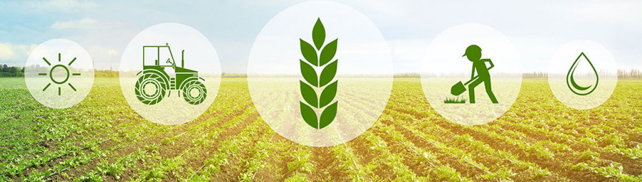 На Філіппінах використовують супутникову технологію швейцарської фірми для страхування врожаю