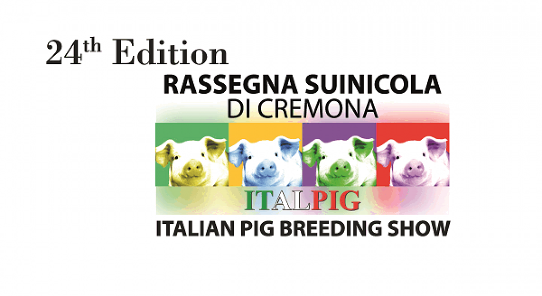 Italian Pig Breeding Show 2020