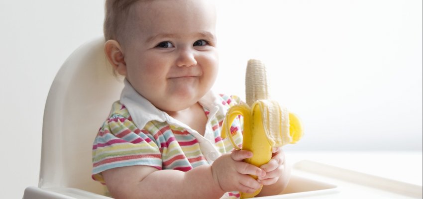 Банани не викликають алергічної реакції Банани не викликають алергічної реакції