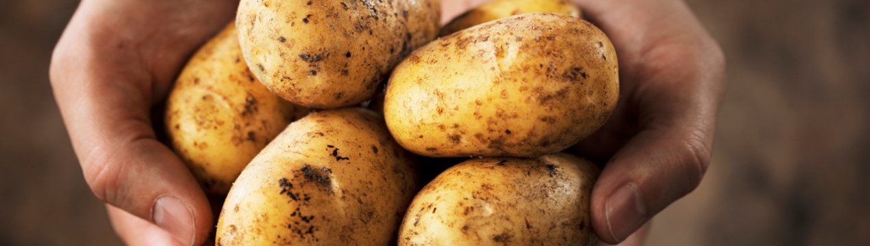 Фермер з Іспанії жертвує 8000 кг картоплі