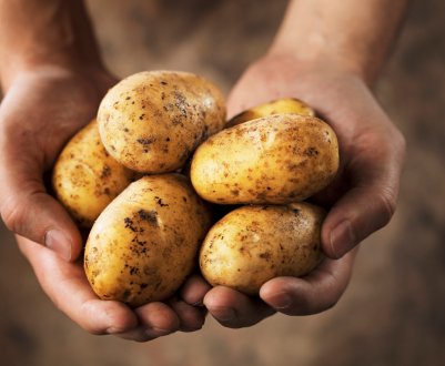 Фермер з Іспанії жертвує 8000 кг картоплі