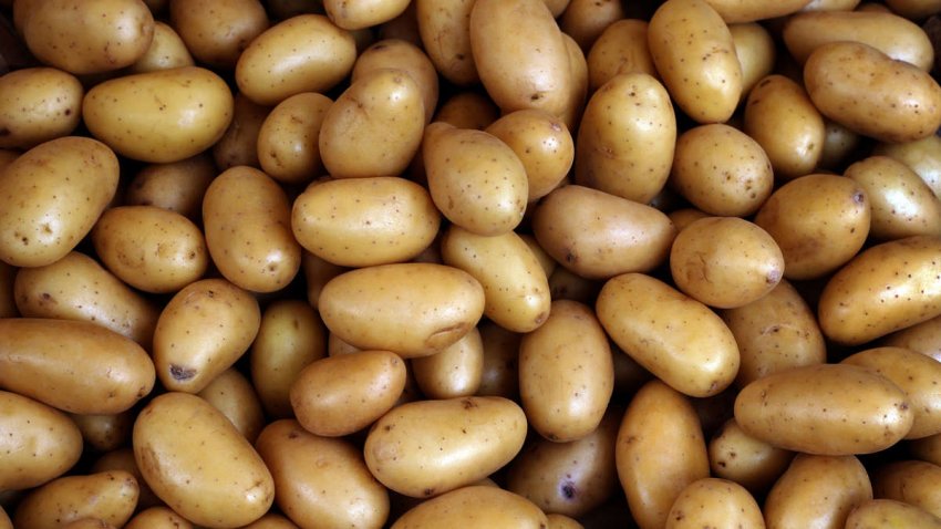 Фермер з Іспанії жертвує 8000 кг картоплі