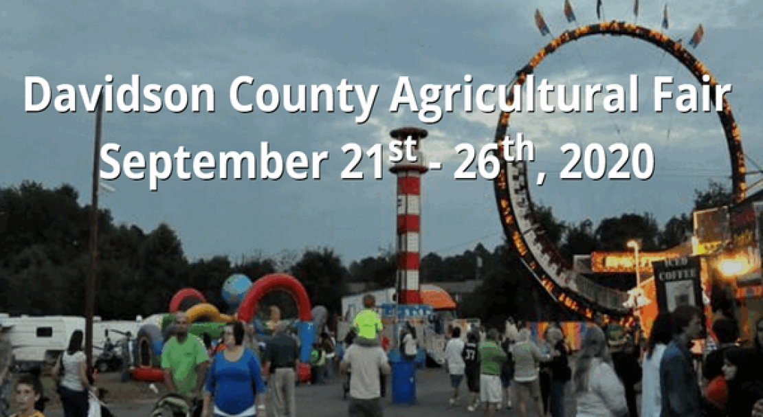 Davidson County Agricultural Fair 2020