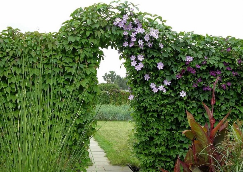 Декорування арки