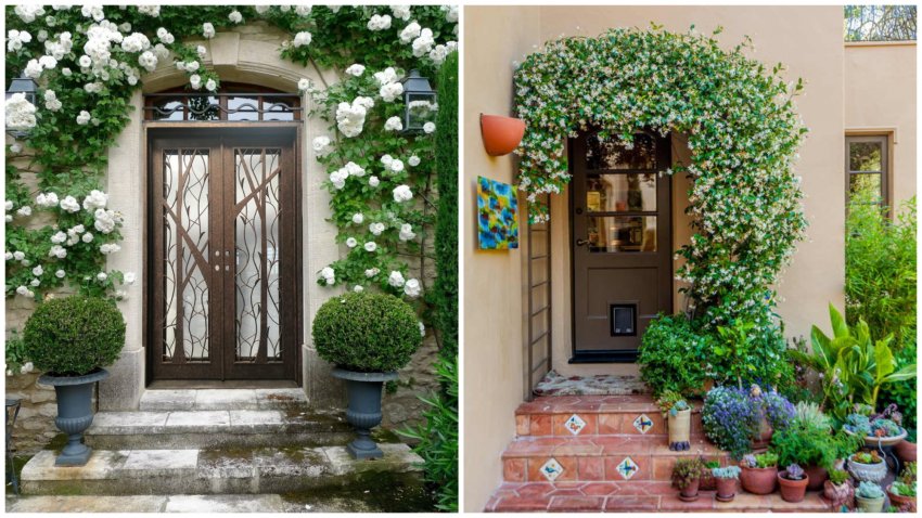 Прикраса для входу в будинок