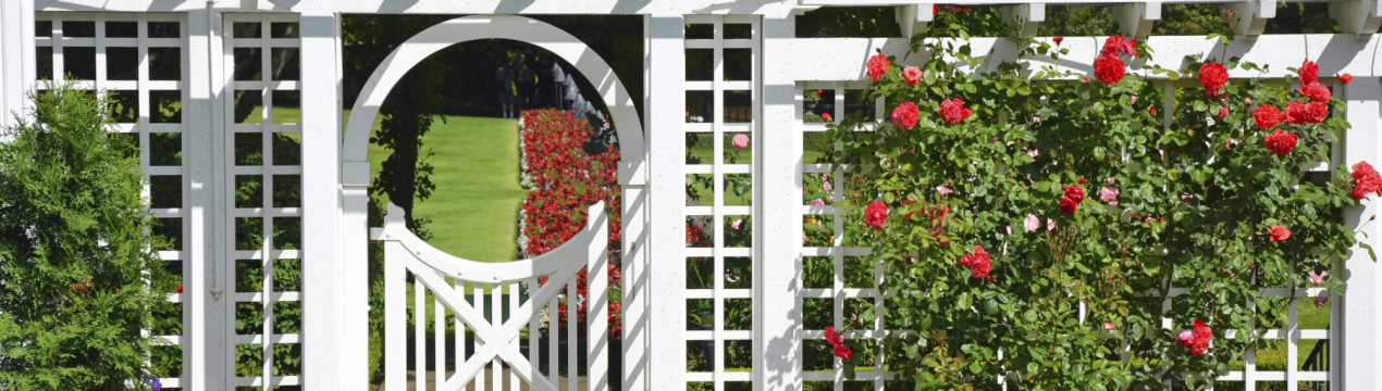 Вертикальне озеленення саду: 3 вишукані та практичні методи