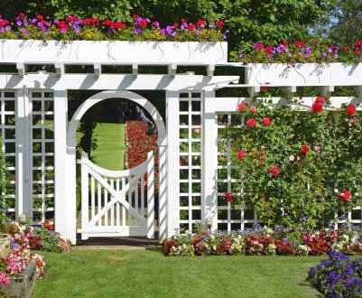 Вертикальне озеленення саду: 3 вишукані та практичні методи