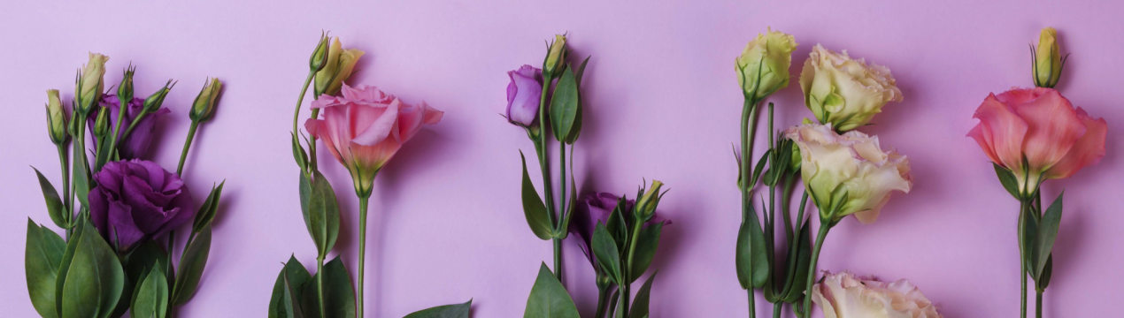 10 кращих квітів для обрізання