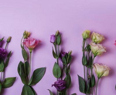 10 кращих квітів для обрізання