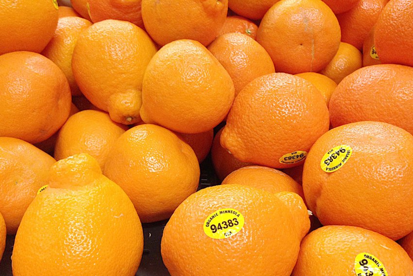 Танжело Танжело