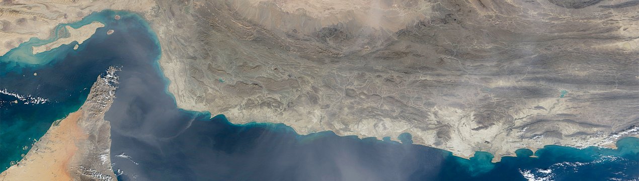 Мертва зона Перської затоки завдає шкоду рибному господарству США