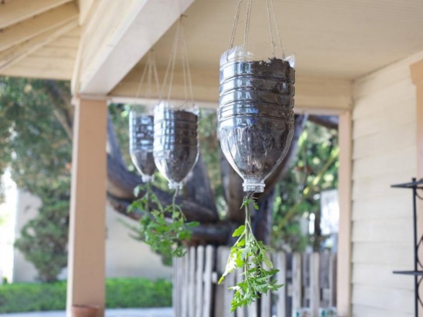 Підвісний сад